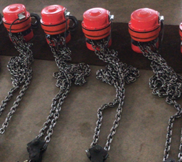 Electric hoist