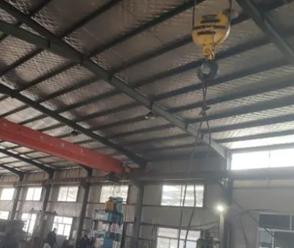 Electric hoist